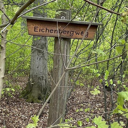 Harzsight180 Leilighet Bad Harzburg Eksteriør bilde