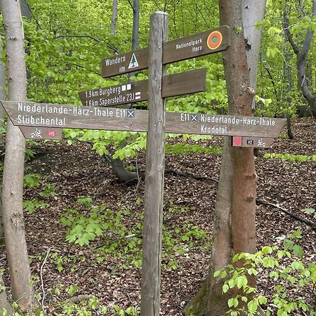 Harzsight180 Leilighet Bad Harzburg Eksteriør bilde
