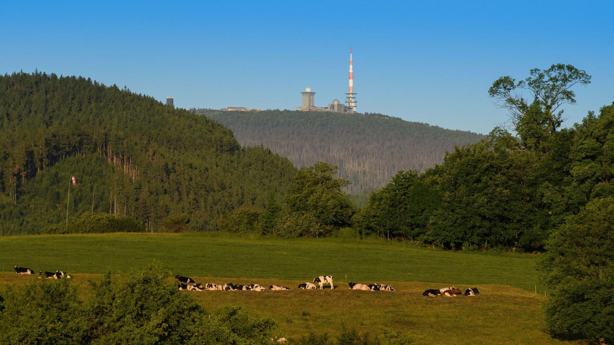 Harzsight180 Leilighet Bad Harzburg Eksteriør bilde