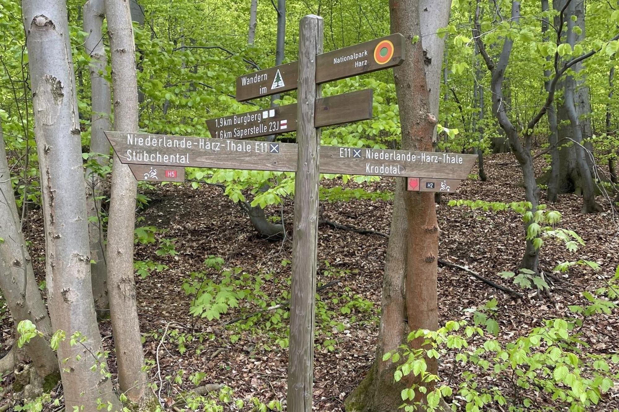 Harzsight180 Leilighet Bad Harzburg Eksteriør bilde
